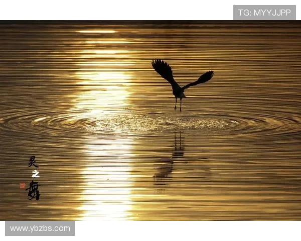 缚灵之舞：探寻绳艺电影的性感与艺术边界